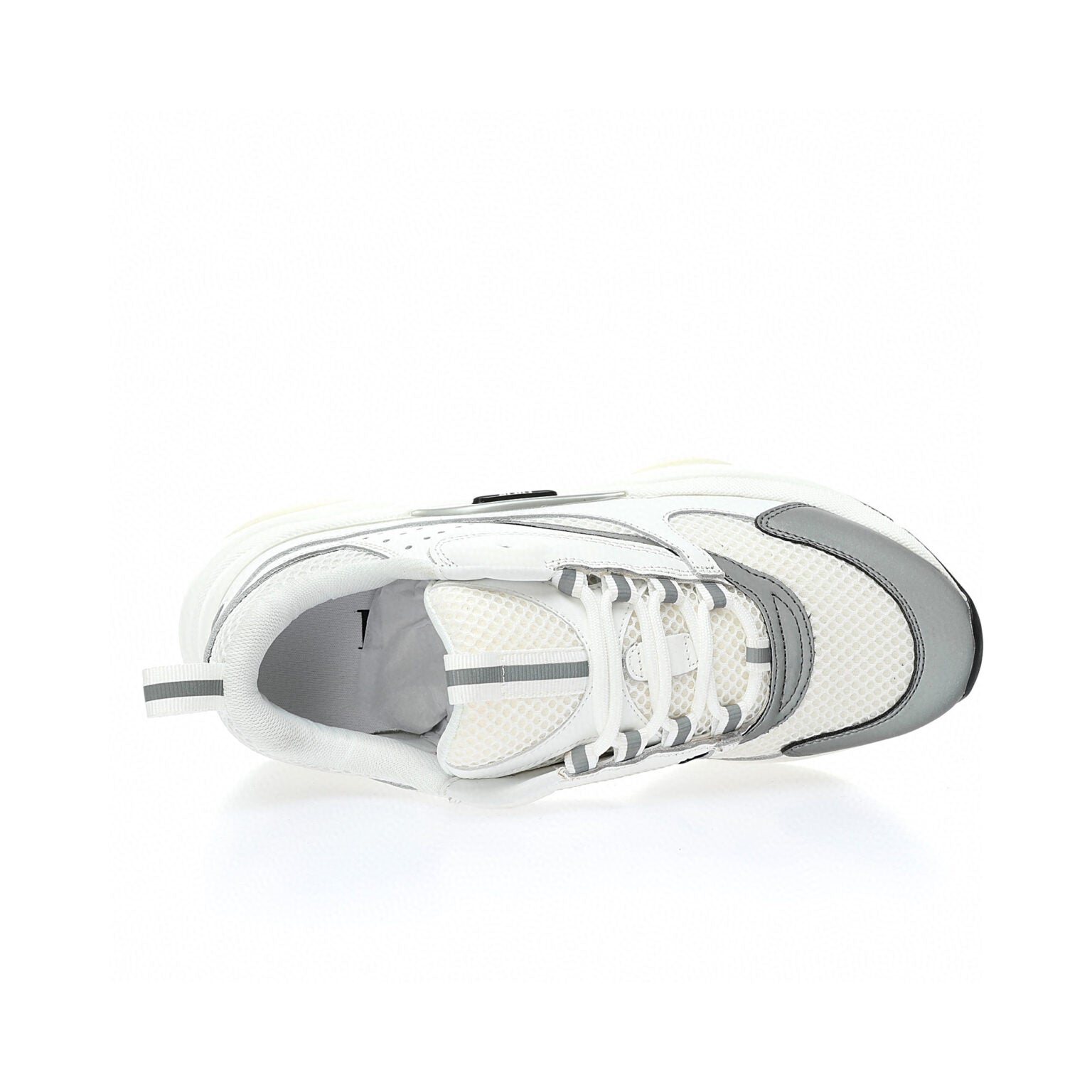 Dior B22