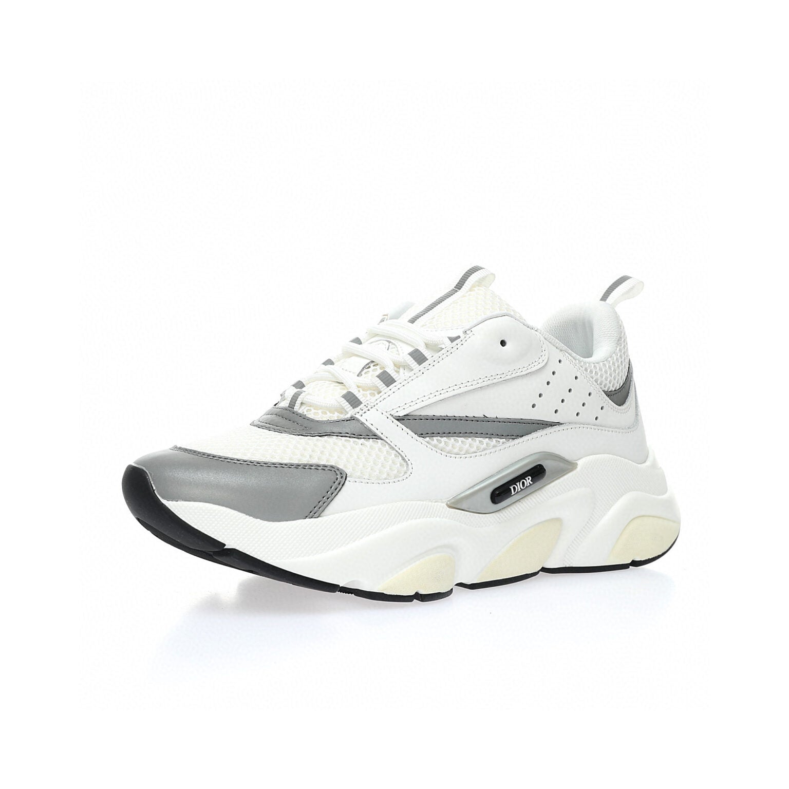 Dior B22