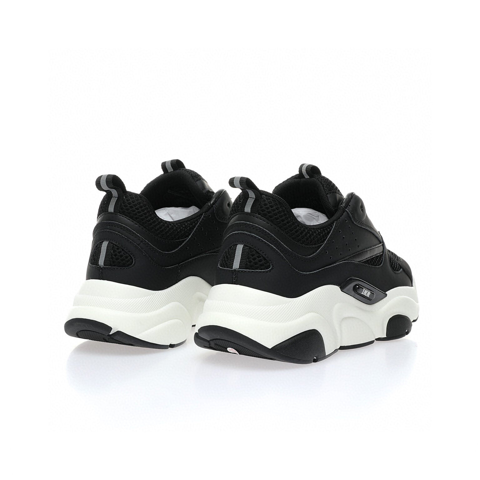 Dior B22