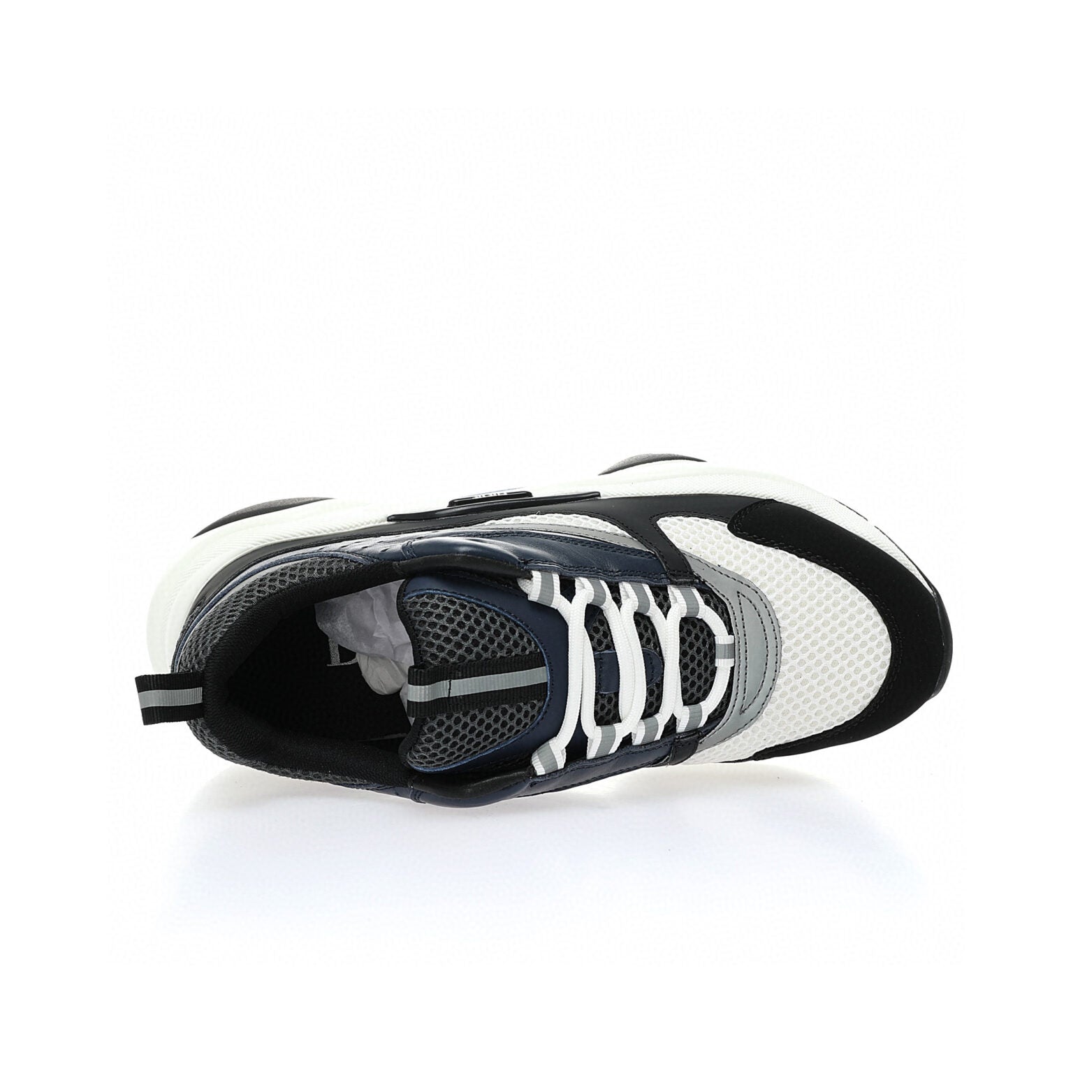 Dior B22